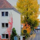 Herbstmorgen vor meiner Wohnung