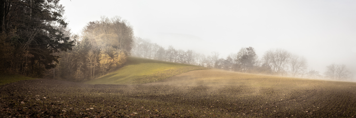 Herbstmorgenboden