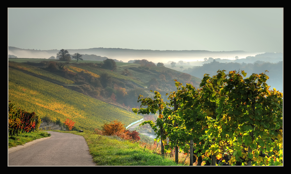 herbstmorgengold