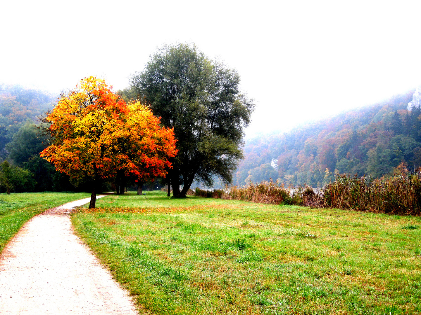 Herbstmorgenmorgen an der Donau