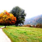 Herbstmorgenmorgen an der Donau