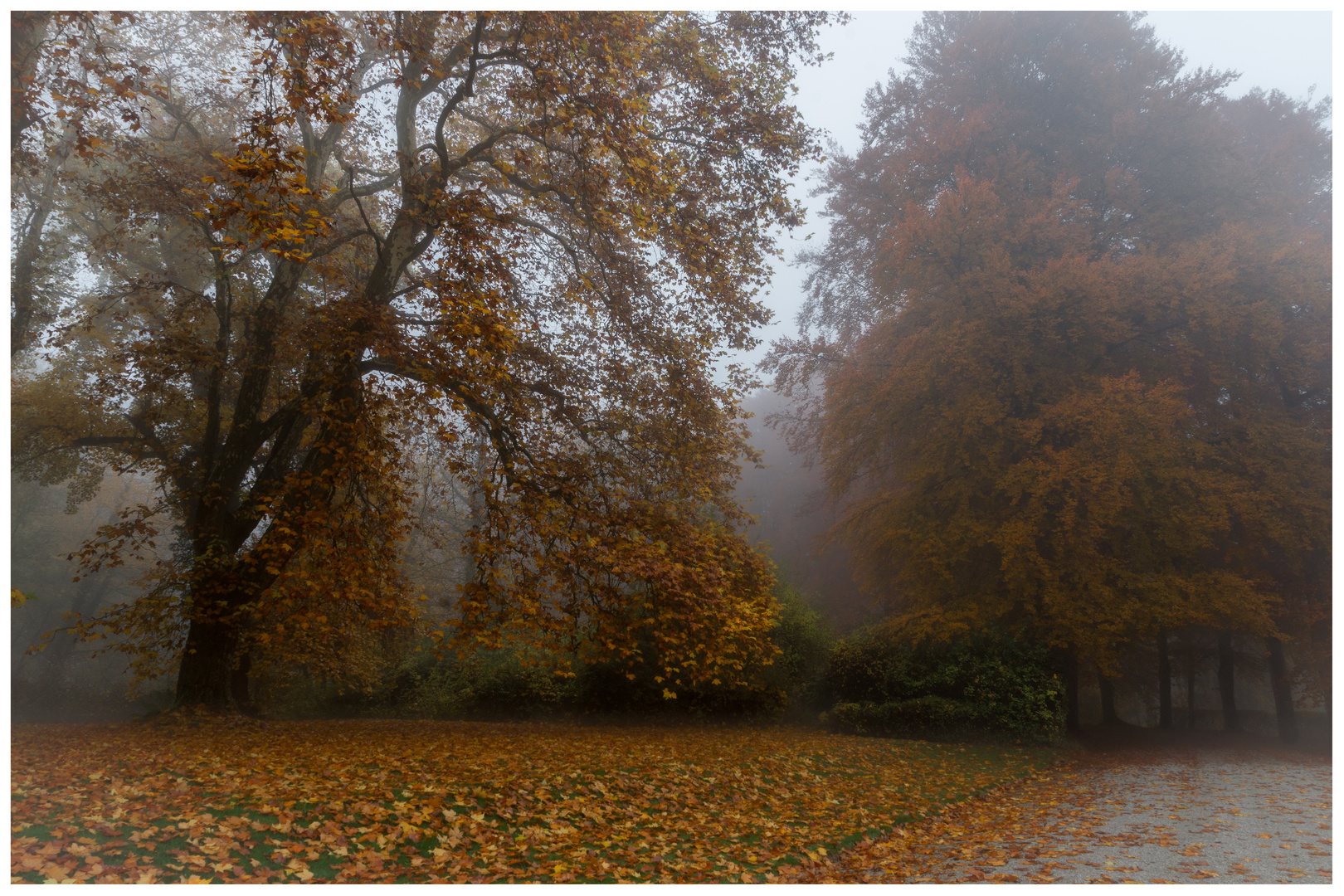 "Herbstmorgennebel"