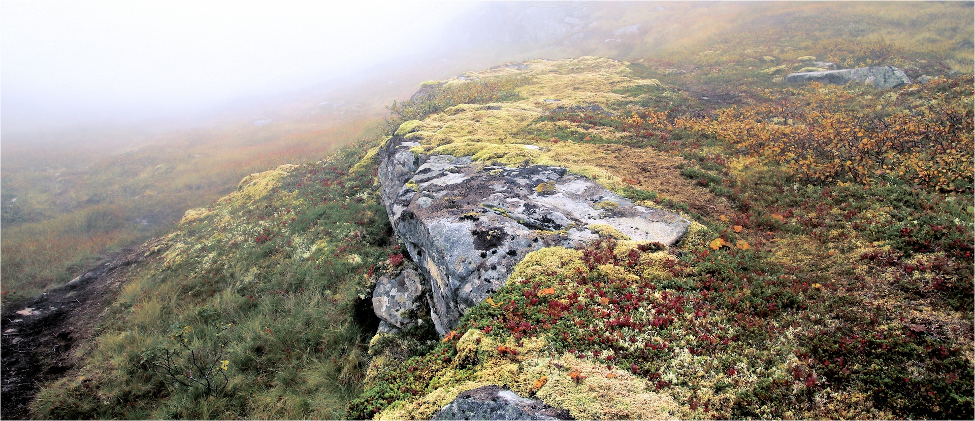 HERBSTMOSAIK IM NEBEL