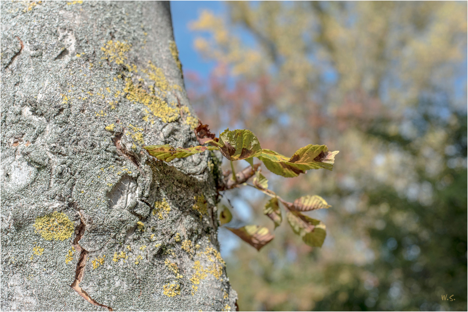 Herbstmotiv