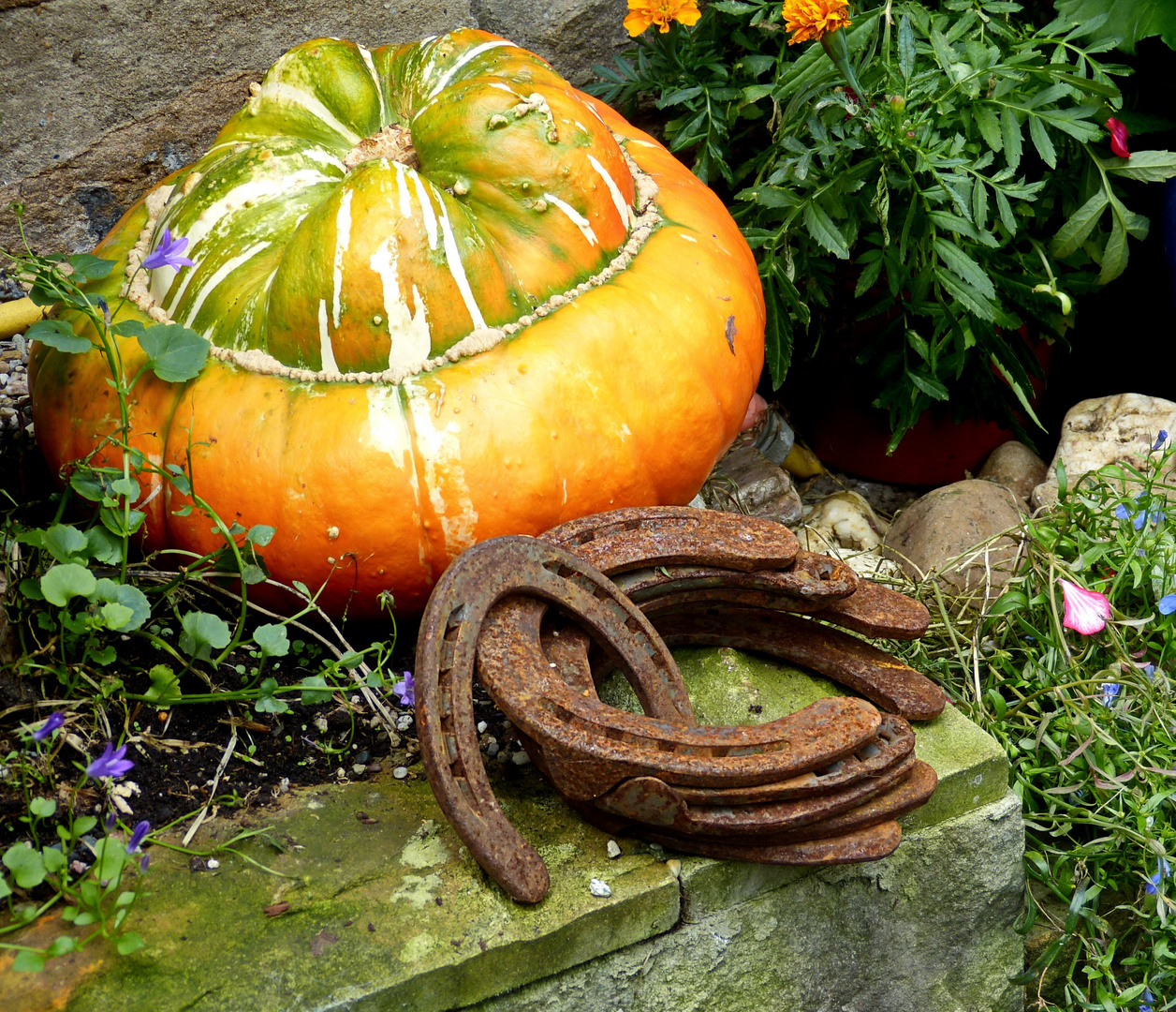 Herbstmotiv als Glücksbringer