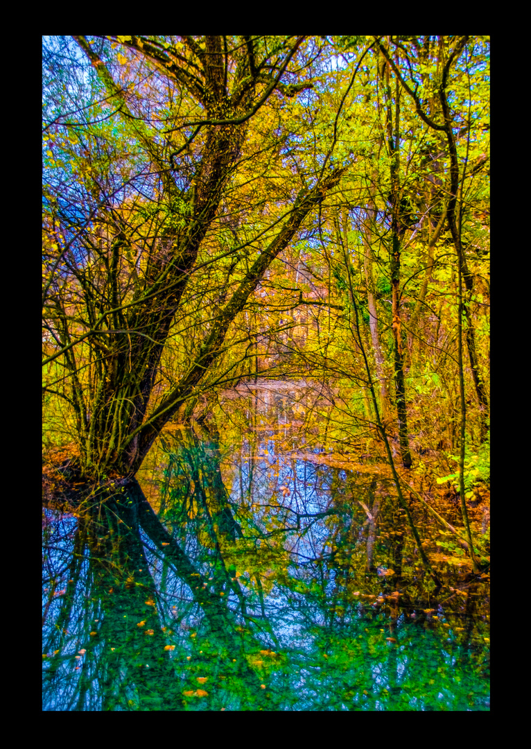 Herbstmotiv aus dem Matzenpark