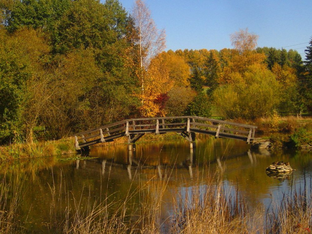 Herbstmotiv zum Spiegeltag