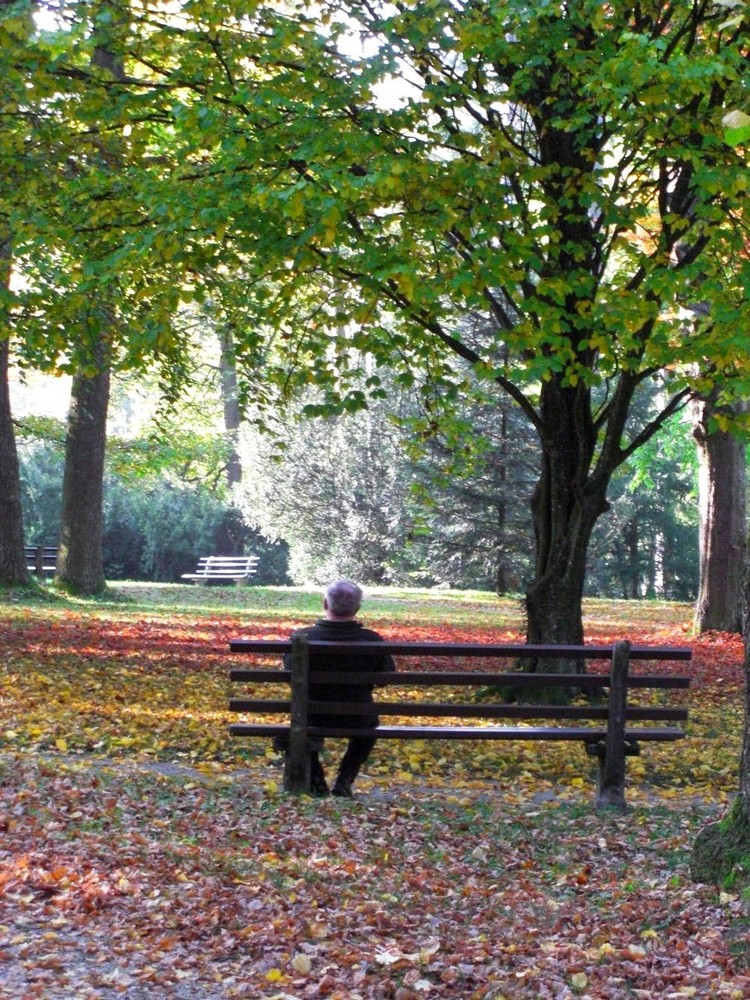 Herbstmotivbetrachter