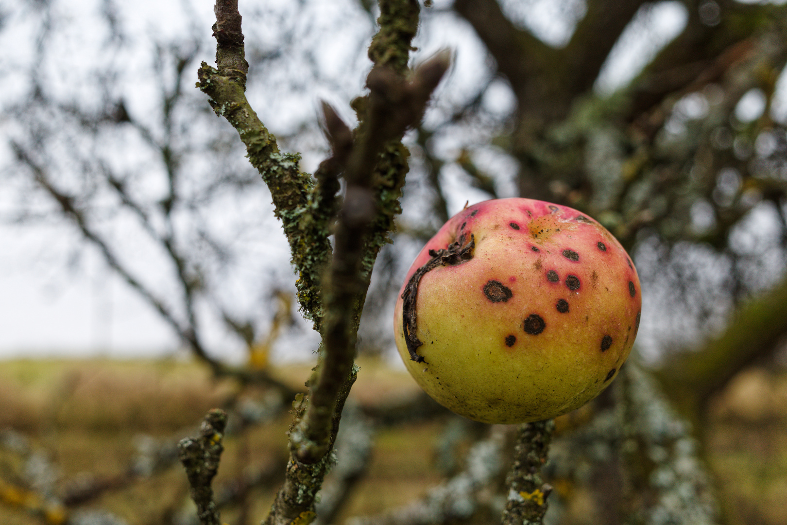 Herbstmotive