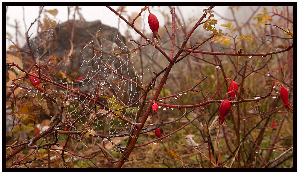 Herbstmotive