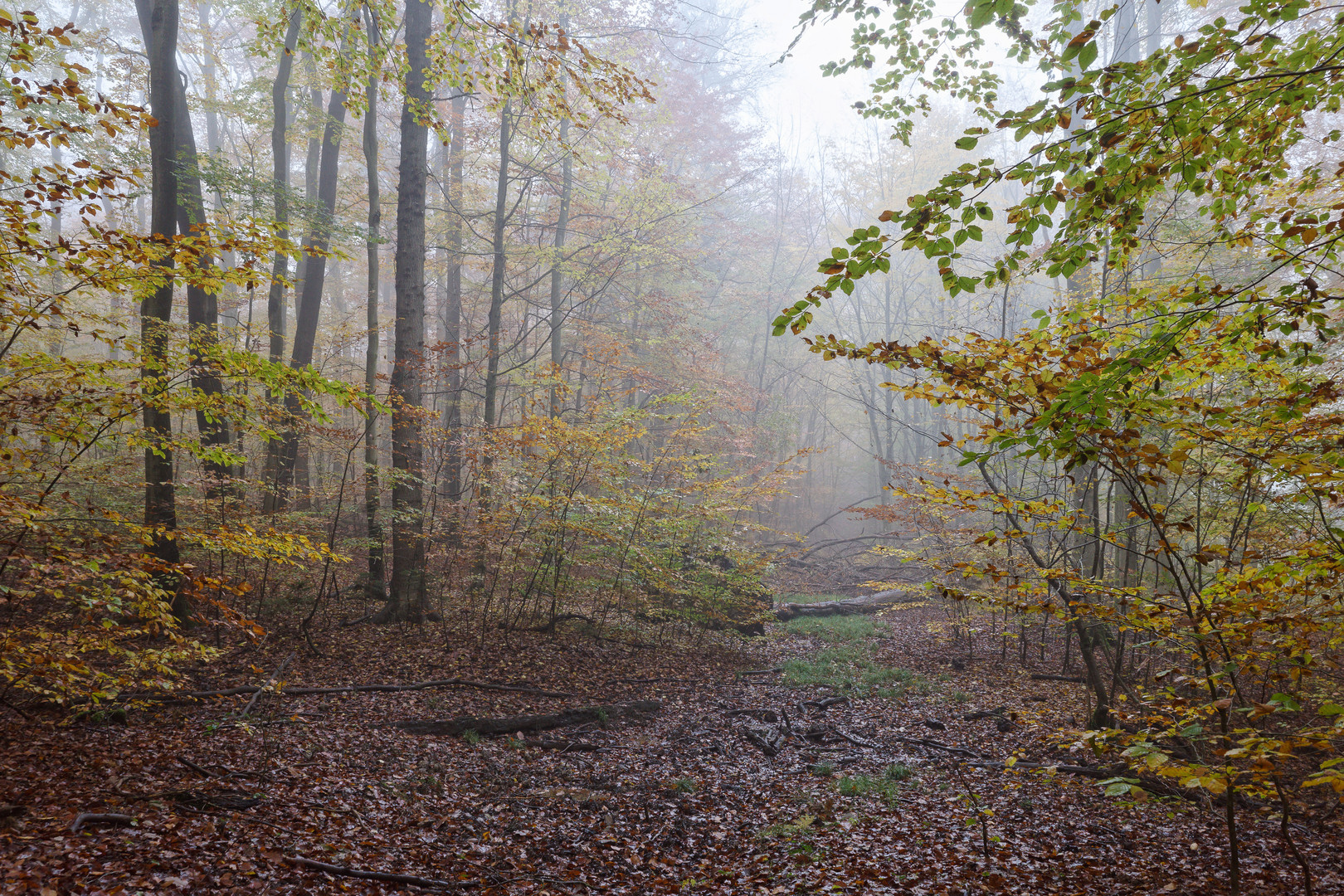 Herbstmotive