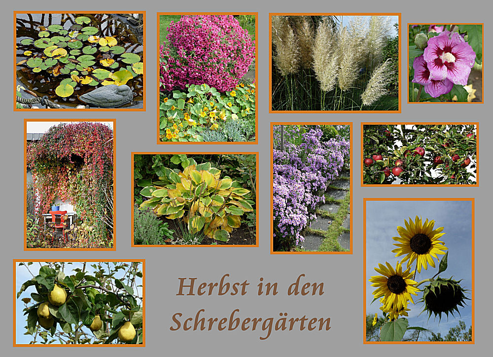 Herbstmotive