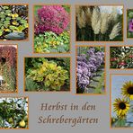 Herbstmotive