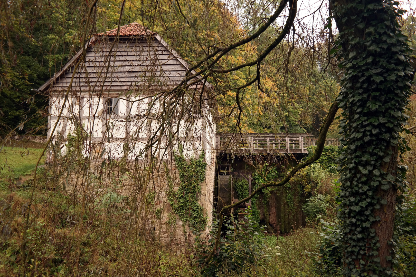 Herbstmühle