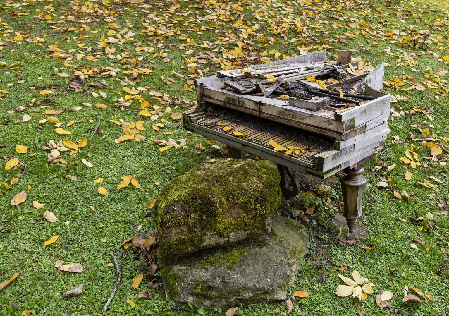 Herbstmusik