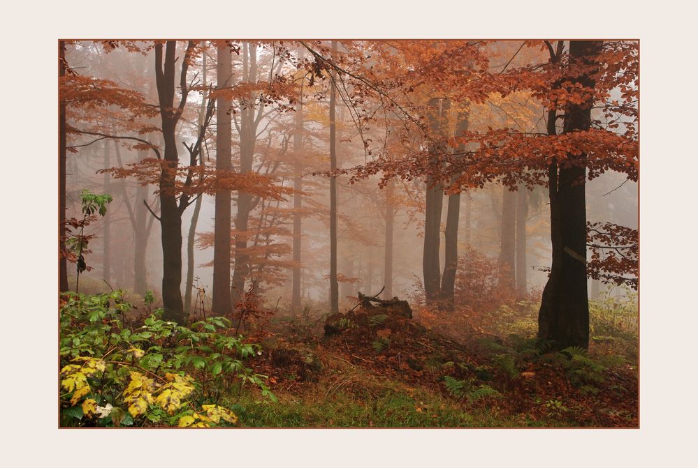 Herbstmystik I