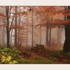 Herbstmystik I