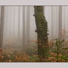 Herbstmystik II