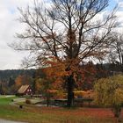 Herbstnachlese 2