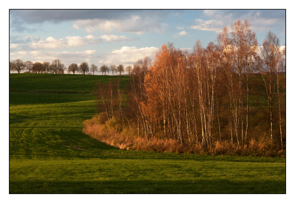 Herbstnachlese