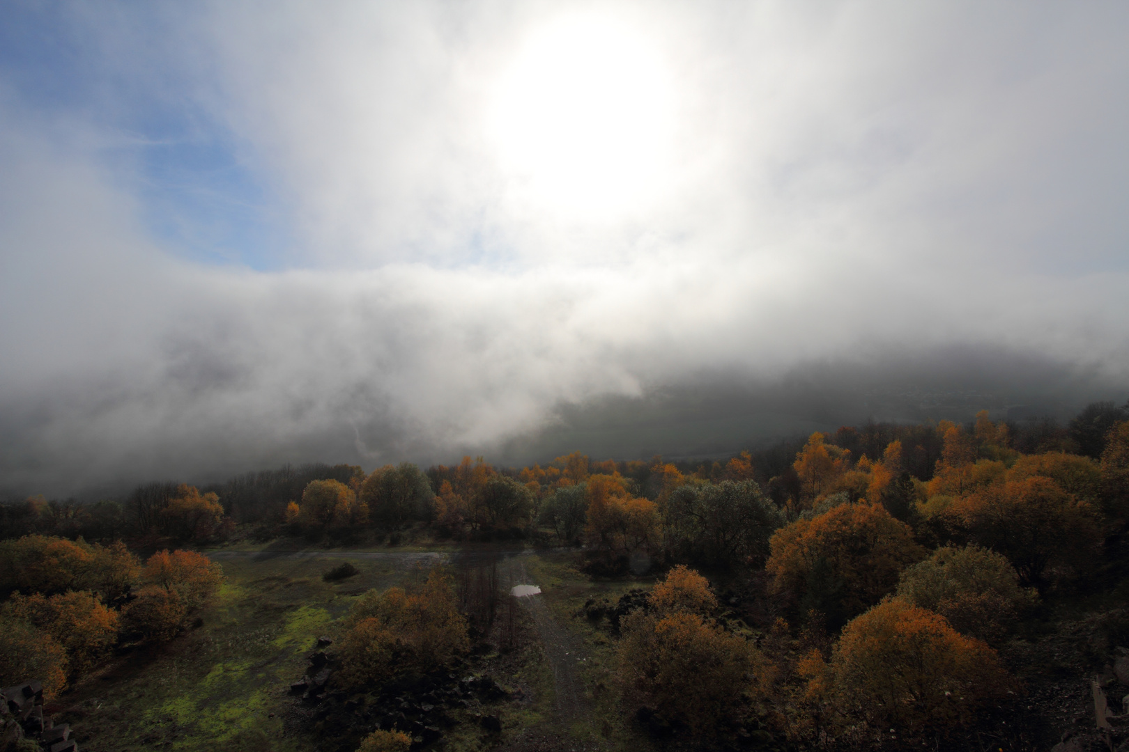 Herbstnachlese