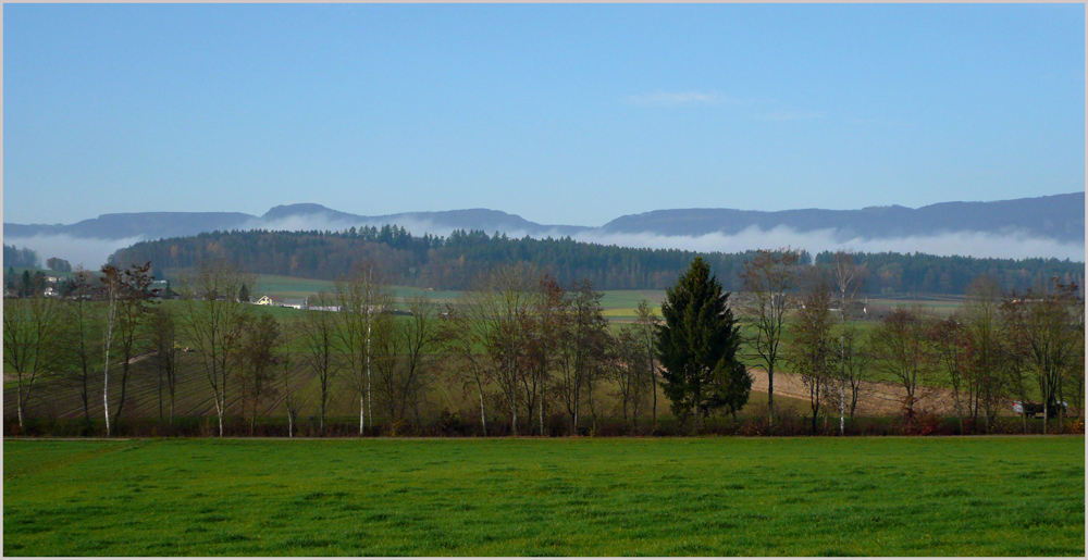 Herbstnachmiitag