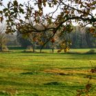 Herbstnachmittag