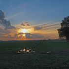 Herbstnachmittag