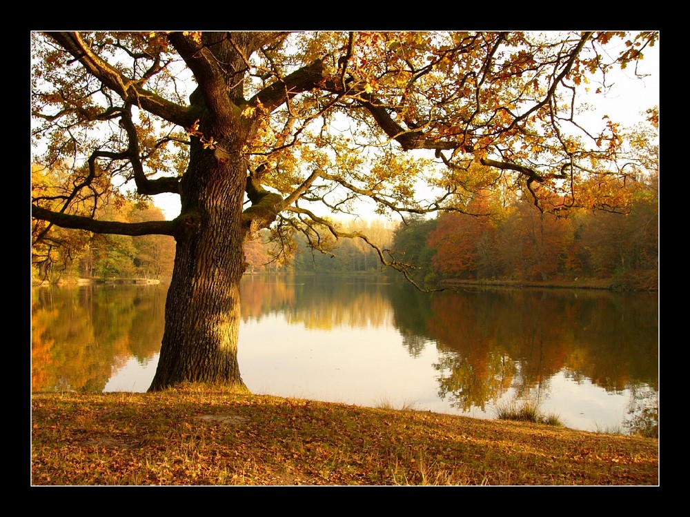 Herbstnachmittag