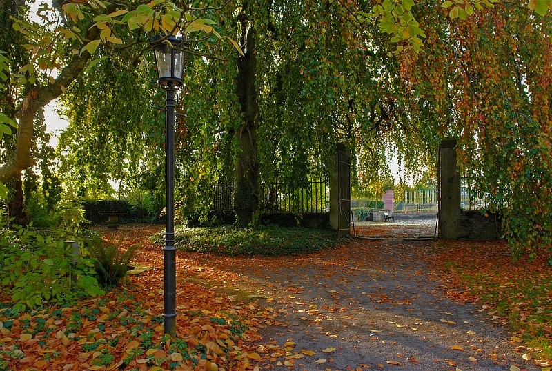 Herbstnachmittag