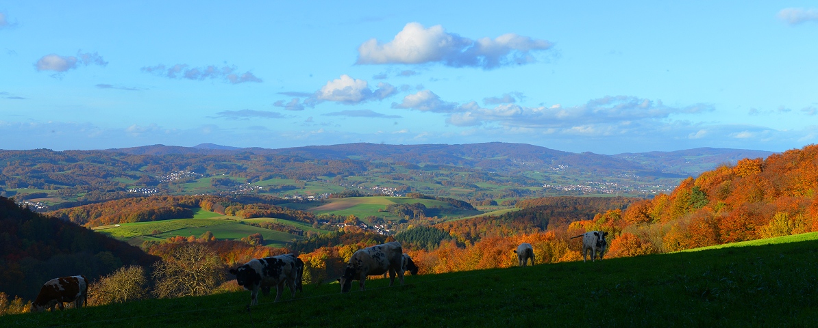 Herbstnachmittag