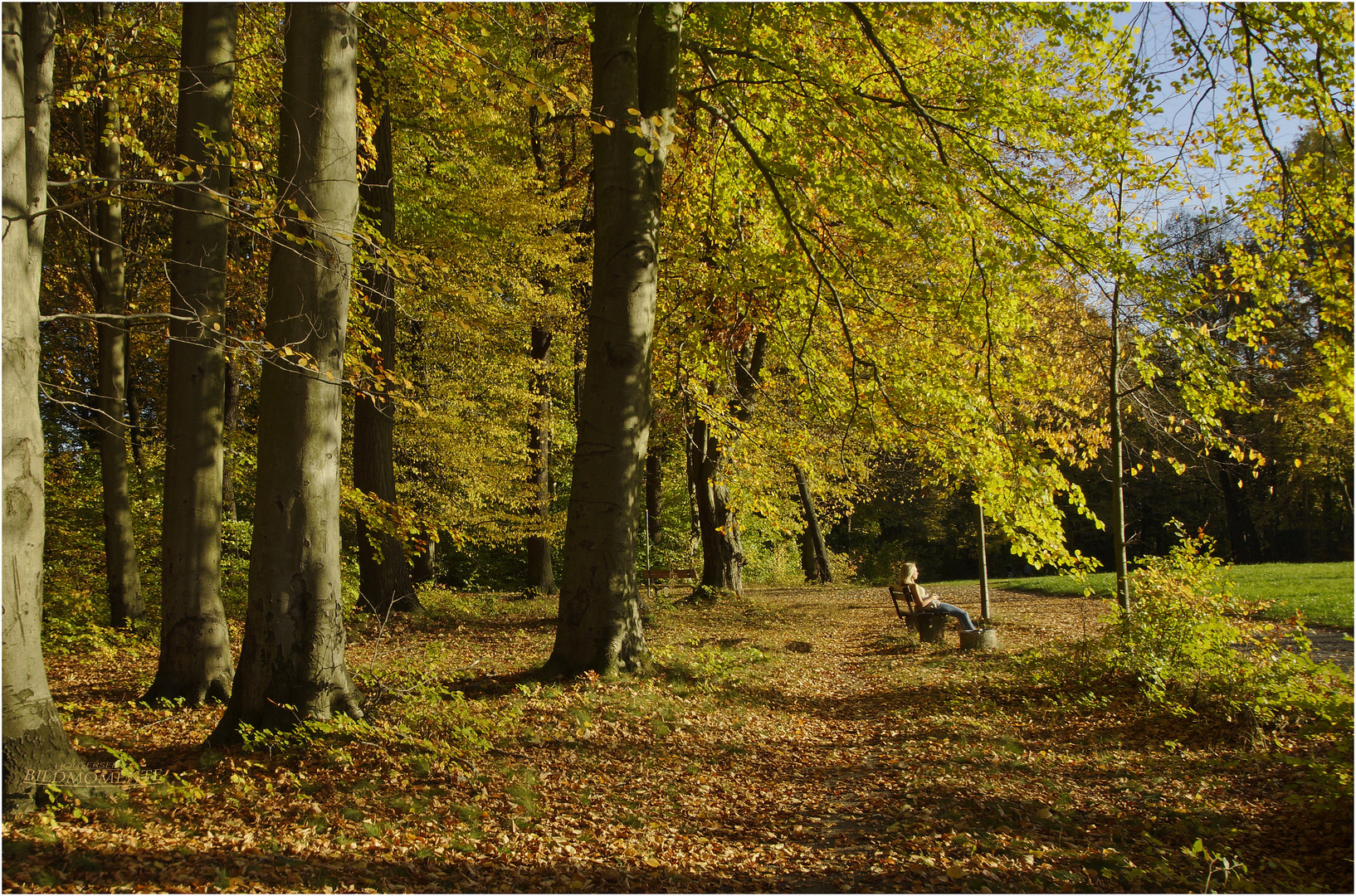 Herbstnachmittag