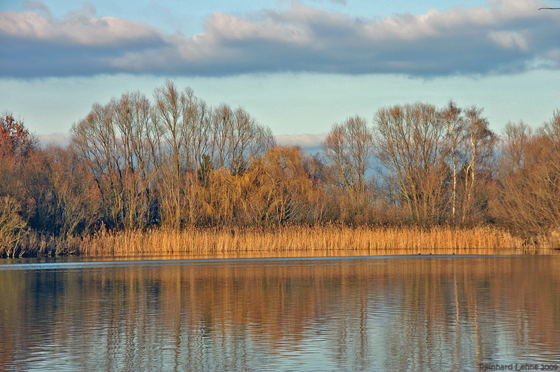 Herbstnachmittag am Anglersee