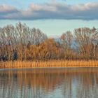 Herbstnachmittag am Anglersee