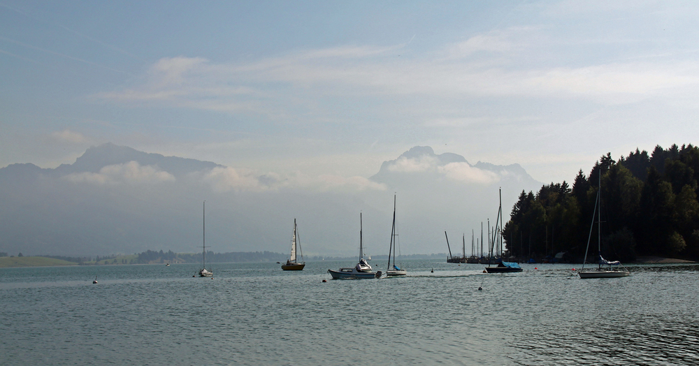 Herbstnachmittag am Forggensee