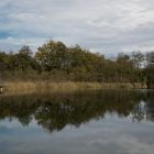 Herbstnachmittag am Hartsee (2)