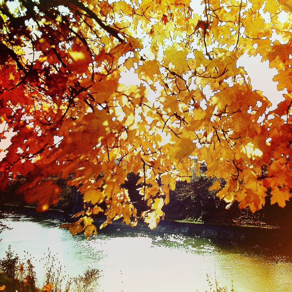 Herbstnachmittag am Inn bei Mühldorf