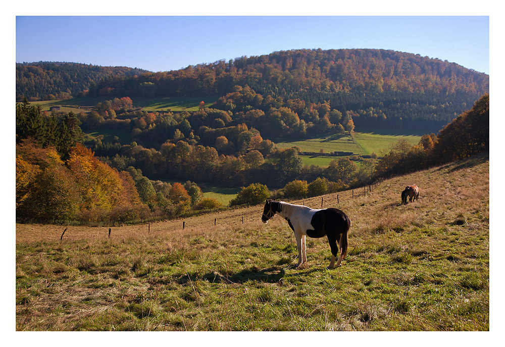 Herbstnachmittag am Nationalpark Kellerwald