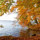 Herbstnachmittag am See