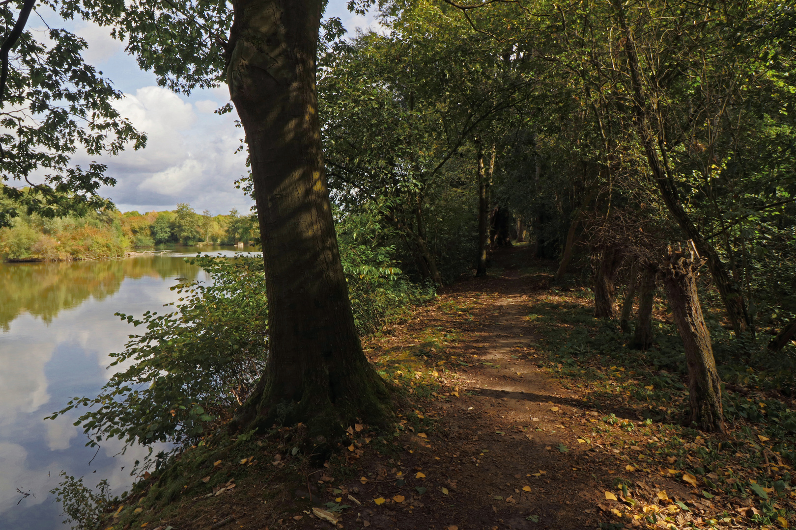 Herbstnachmittag am Teich