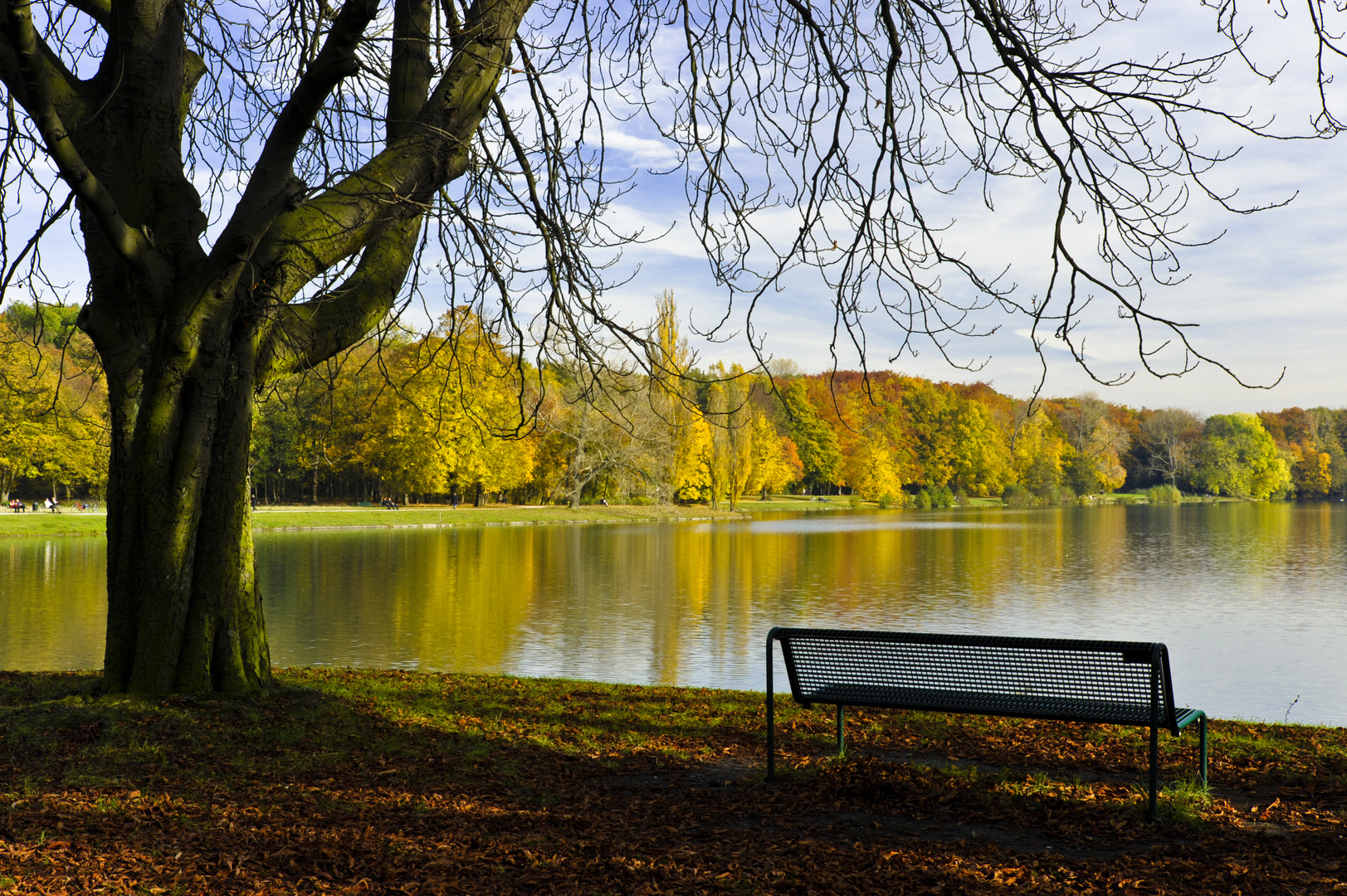 Herbstnachmittag am Weiher