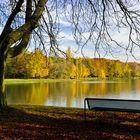 Herbstnachmittag am Weiher