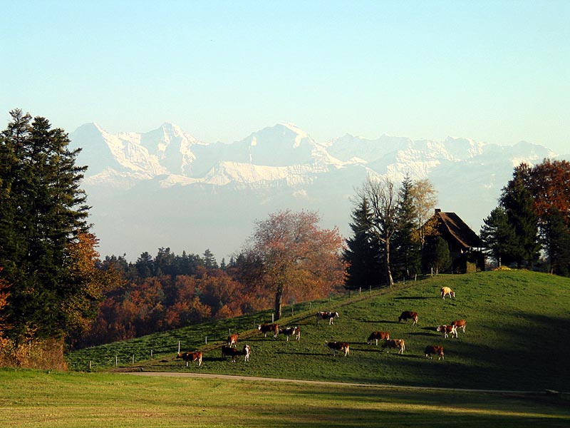 Herbstnachmittag auf dem Längenberg