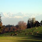 Herbstnachmittag auf dem Längenberg