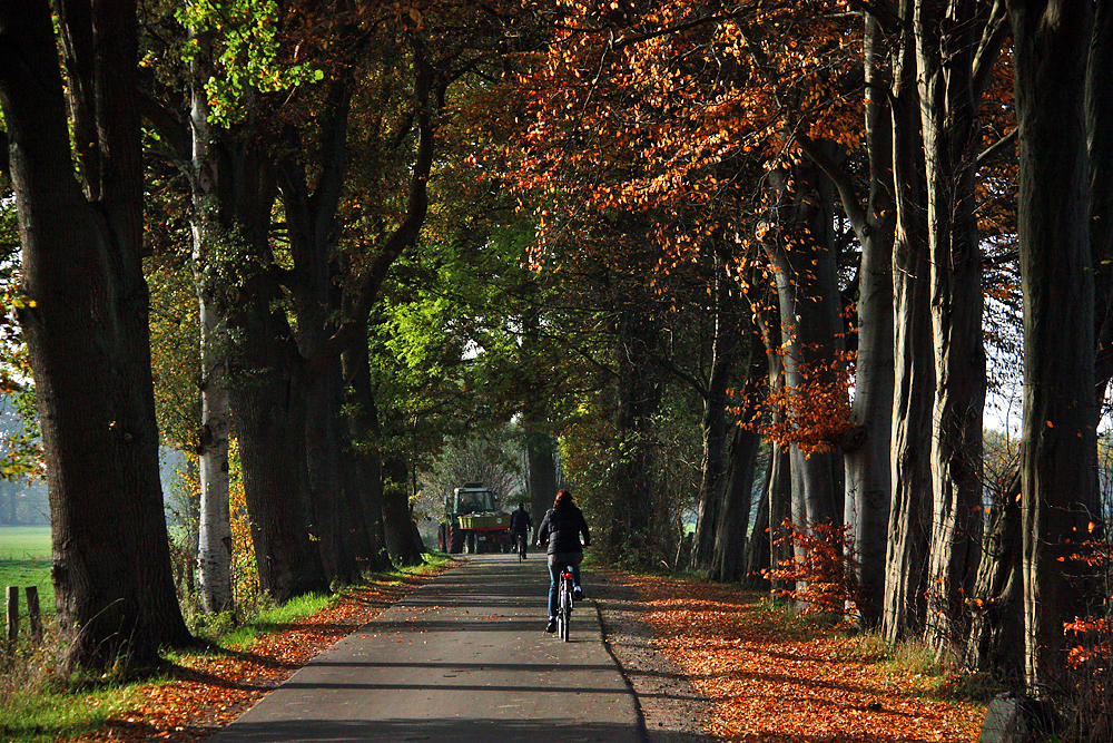 Herbstnachmittag auf dem Land