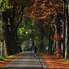 Herbstnachmittag auf dem Land