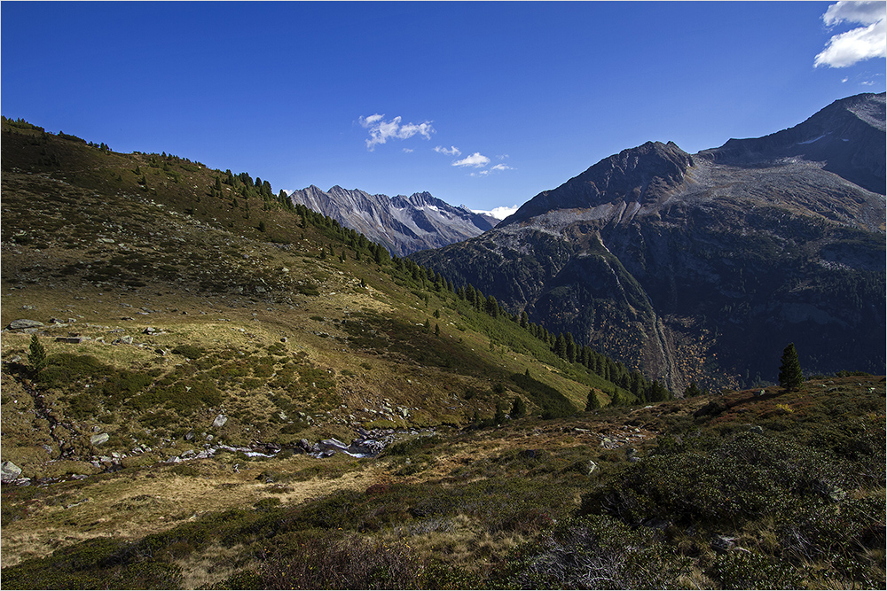 Herbstnachmittag auf der Friesenbergalm