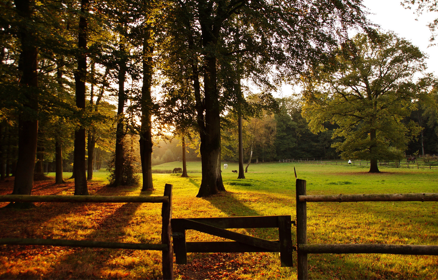 Herbstnachmittag auf einem Gutshof in der Lüneburger Heide