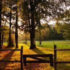 Herbstnachmittag auf einem Gutshof in der Lüneburger Heide