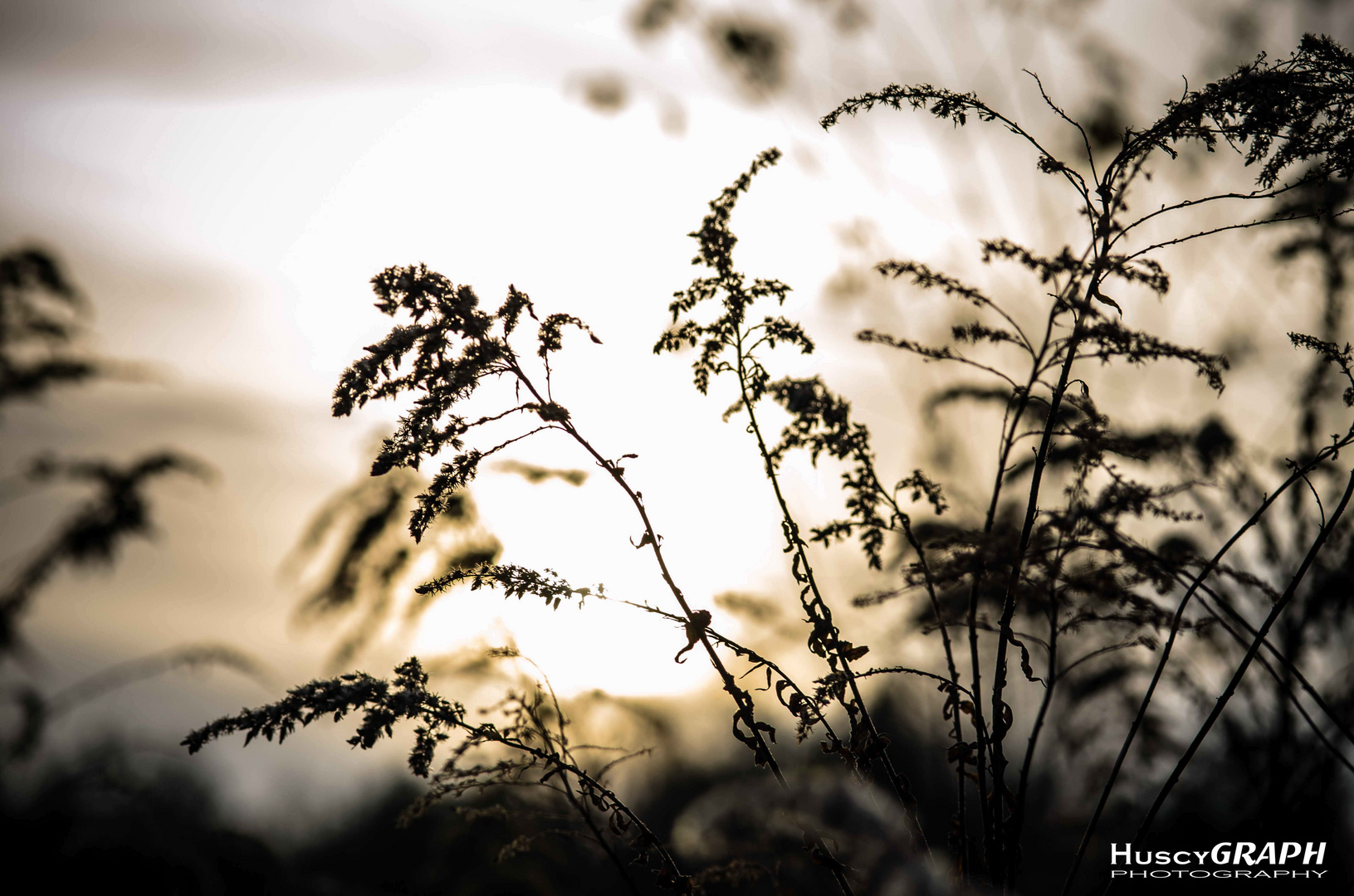 ...herbstnachmittag...